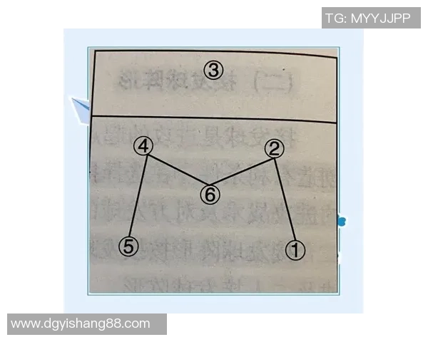 上海排球队的灵活性探讨与战术创新分析